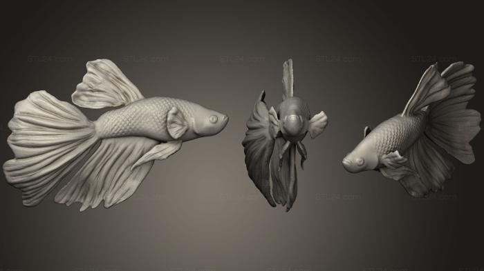 Animal figurines (Beta Fish, STKJ_0742) 3D models for cnc